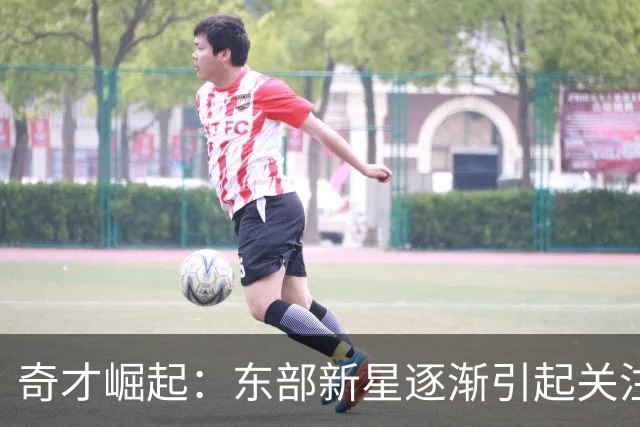 奇才崛起：东部新星逐渐引起关注